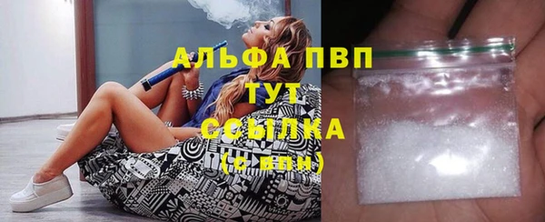 дмт Абаза