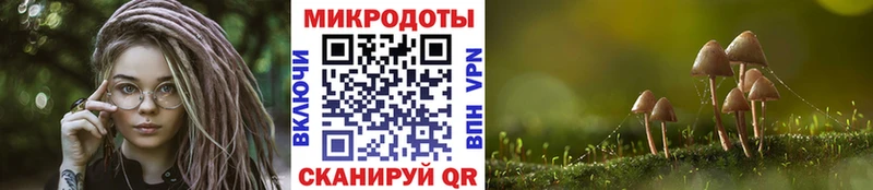 Галлюциногенные грибы Magic Shrooms Яхрома